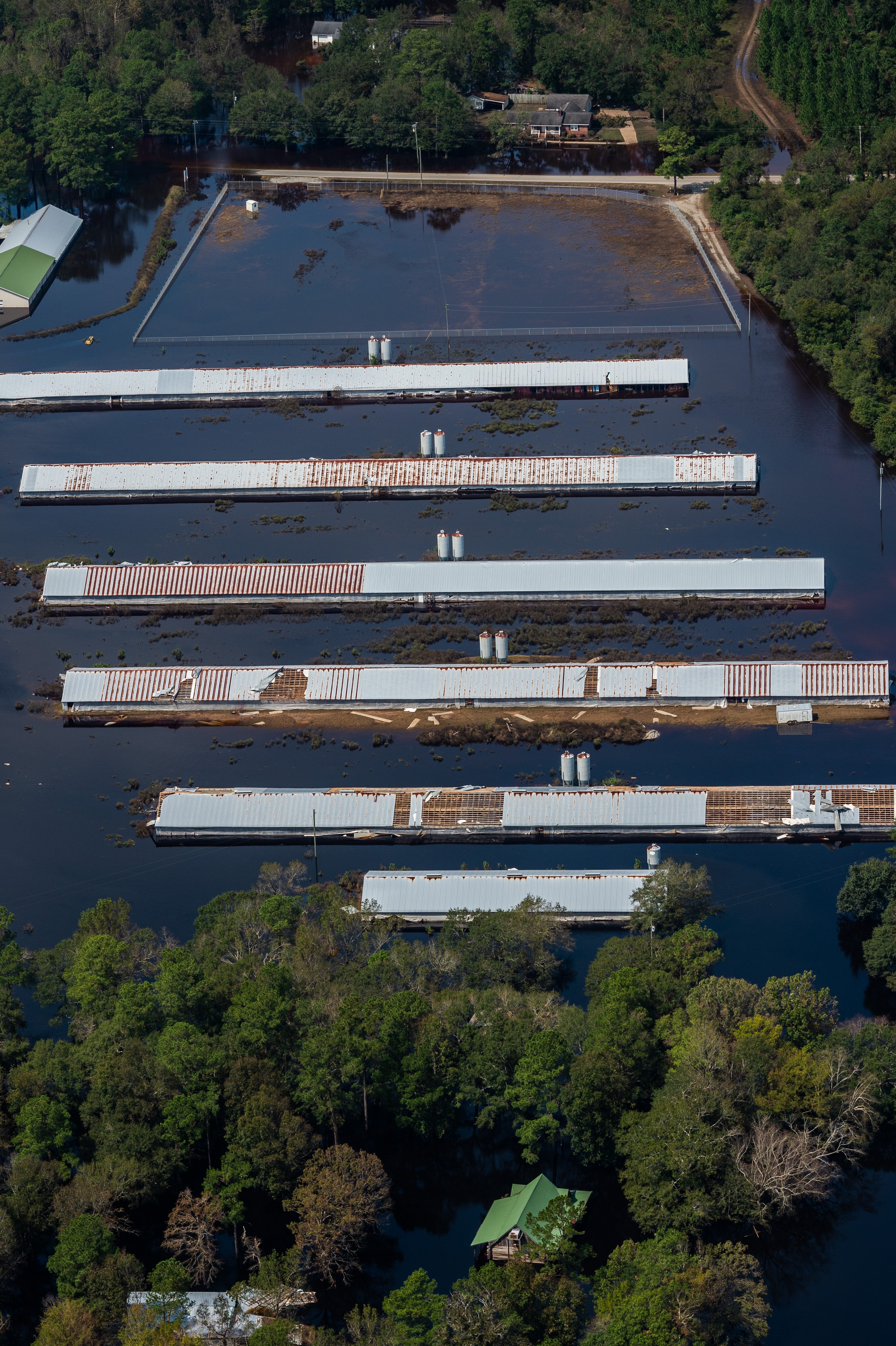 Photo by jo anne ncarthur on Unsplash