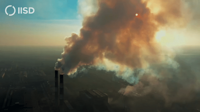 What to Expect at COP26