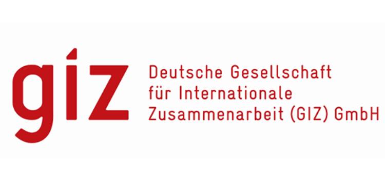 giz logo