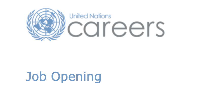 UN Jobs