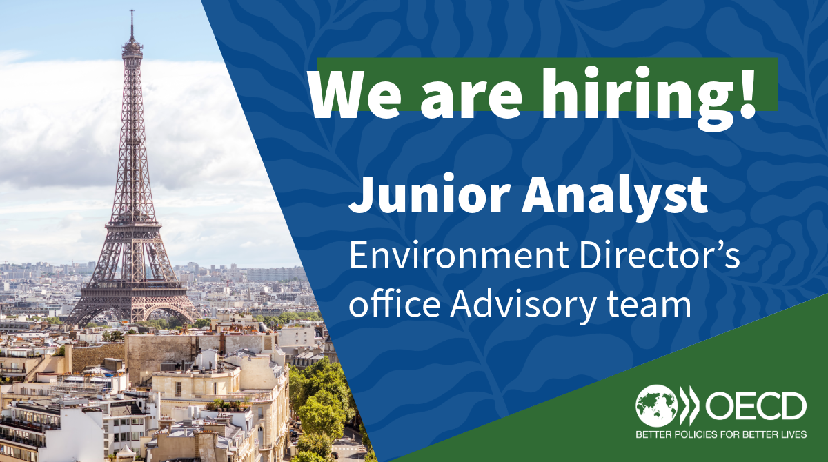 Junior Analyst - Environment Directorate