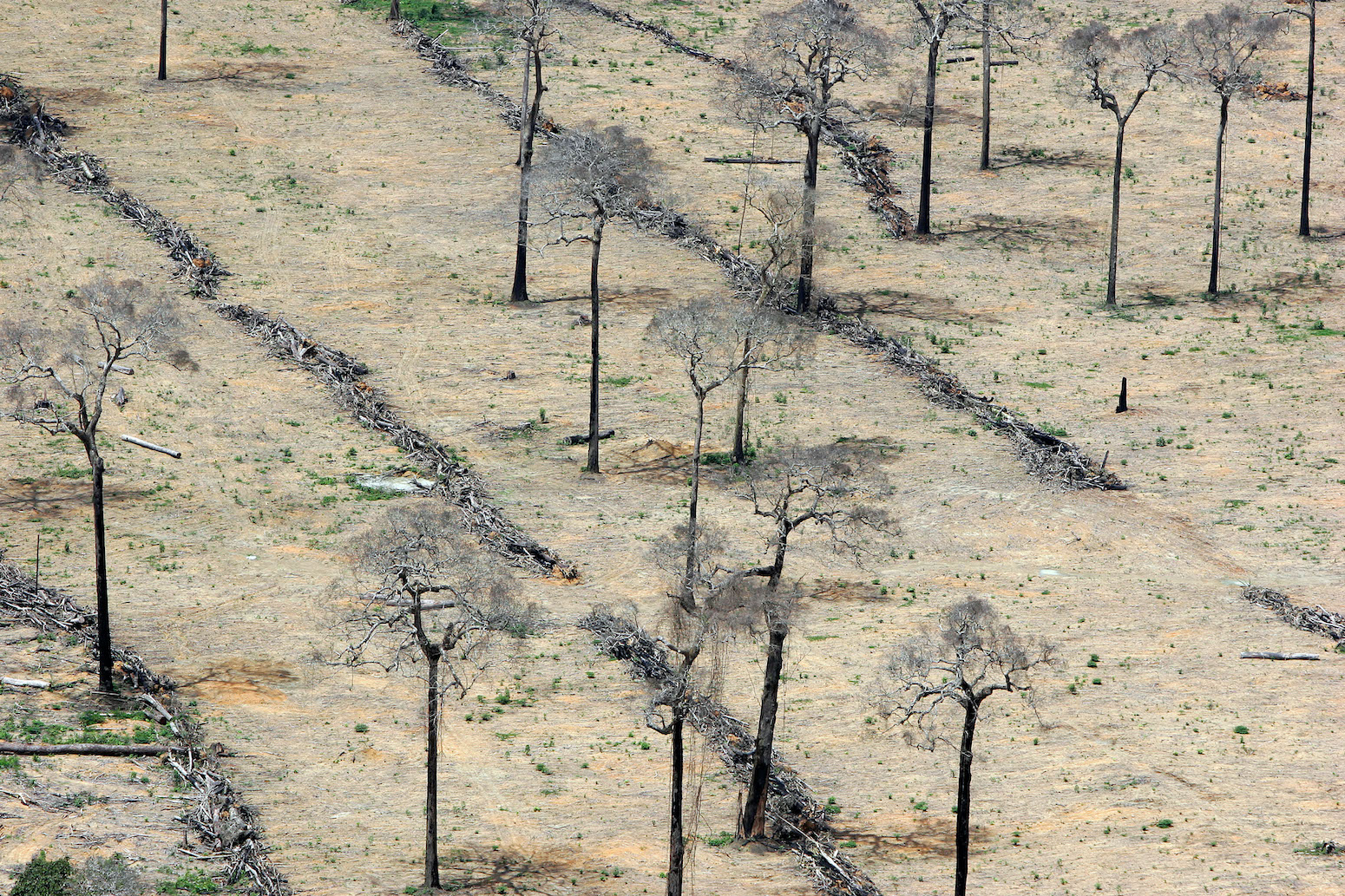 Amazon-rain-forest-clearance-for-agriculture-in-Brazil_C7TENJ.jpg