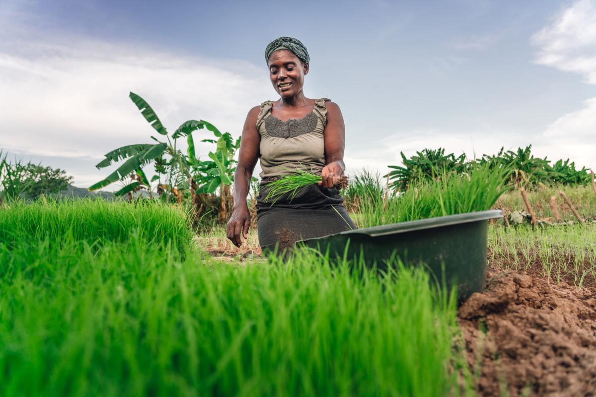 Malawi-Woman-Farmer-Grass.jpg