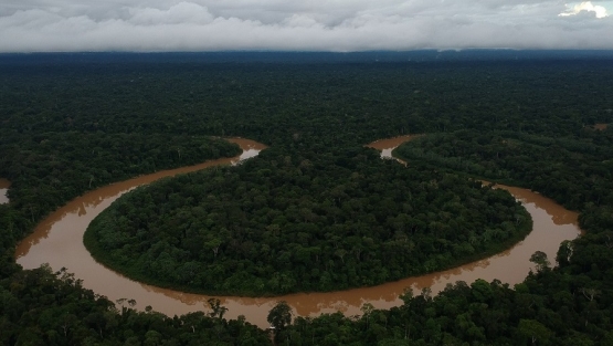 aerial_view_of_the_vale_do_javari_in_the_amazon_-_bruno_kelly_-_amazonia_real_2018-1000.jpg