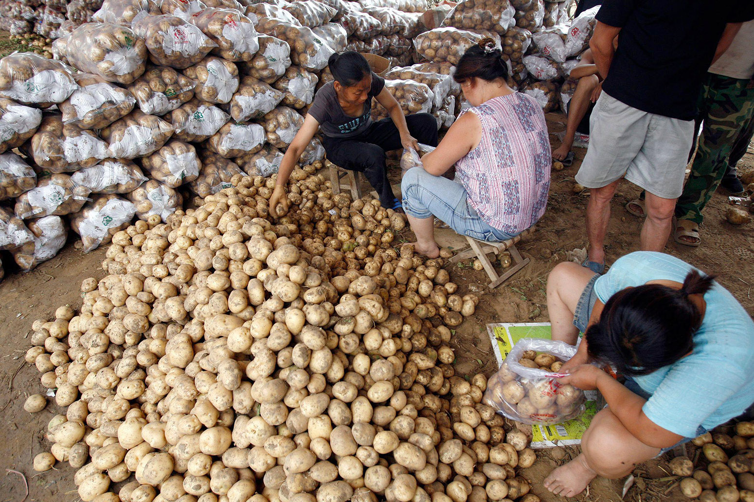 potato-packing-china-2D1EE36.jpg