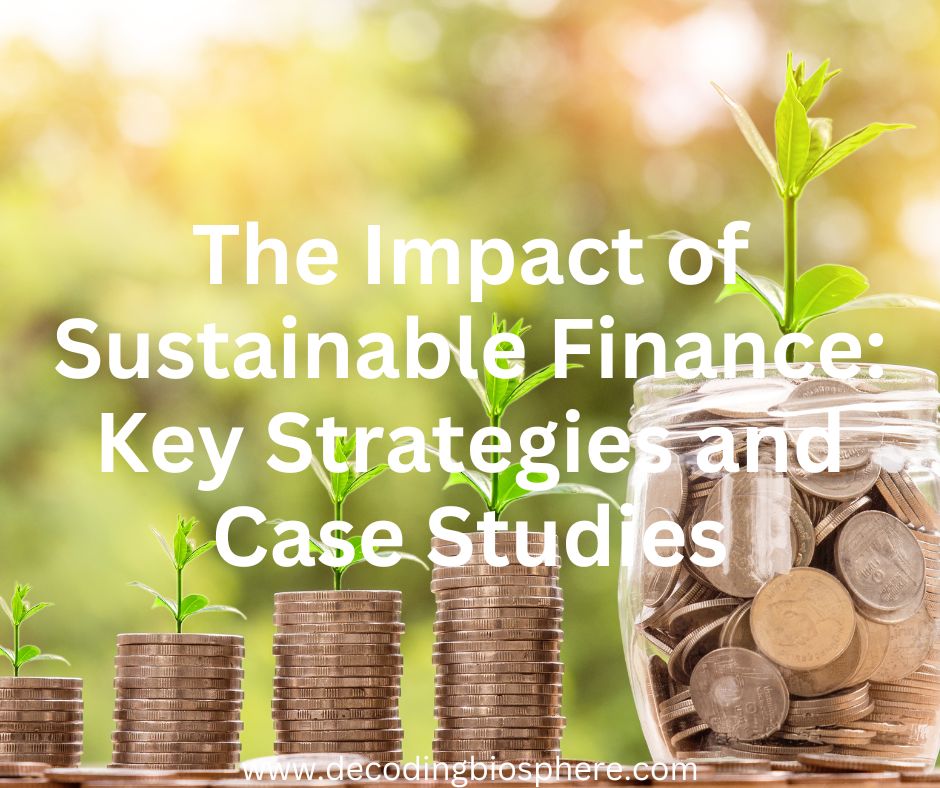 the-impact-of-sustainable-finance-key-strategies-and-case-studies.jpg