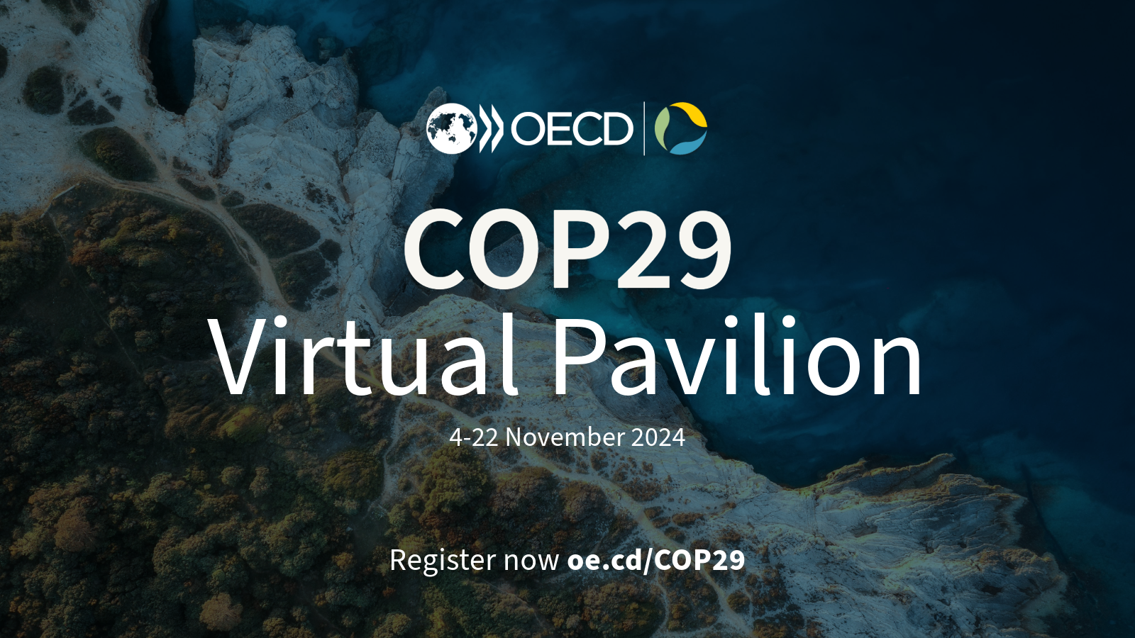 OECD COP29 Virtual Pavilion