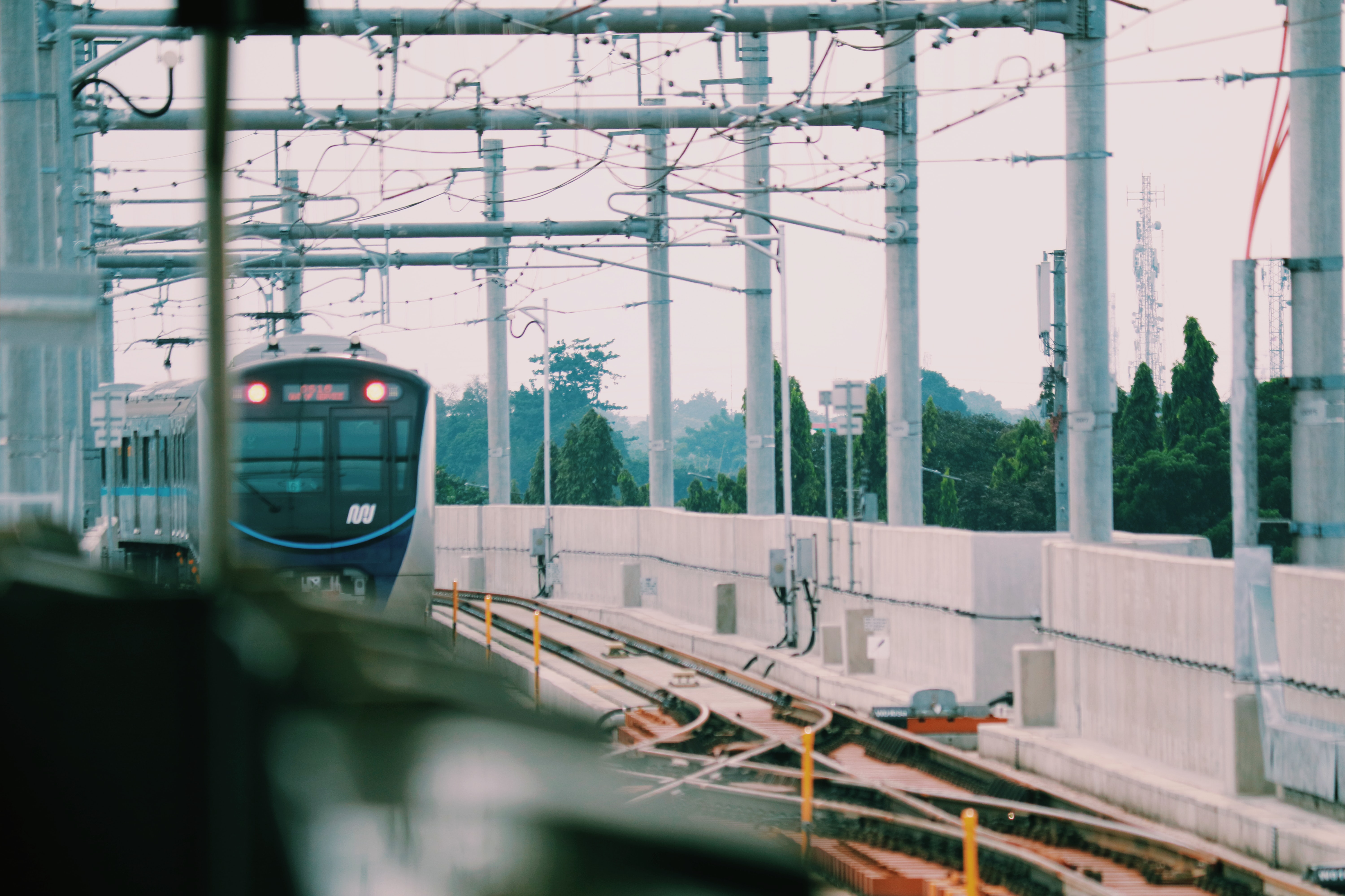 Photo by Anisetus Palma on Unsplash