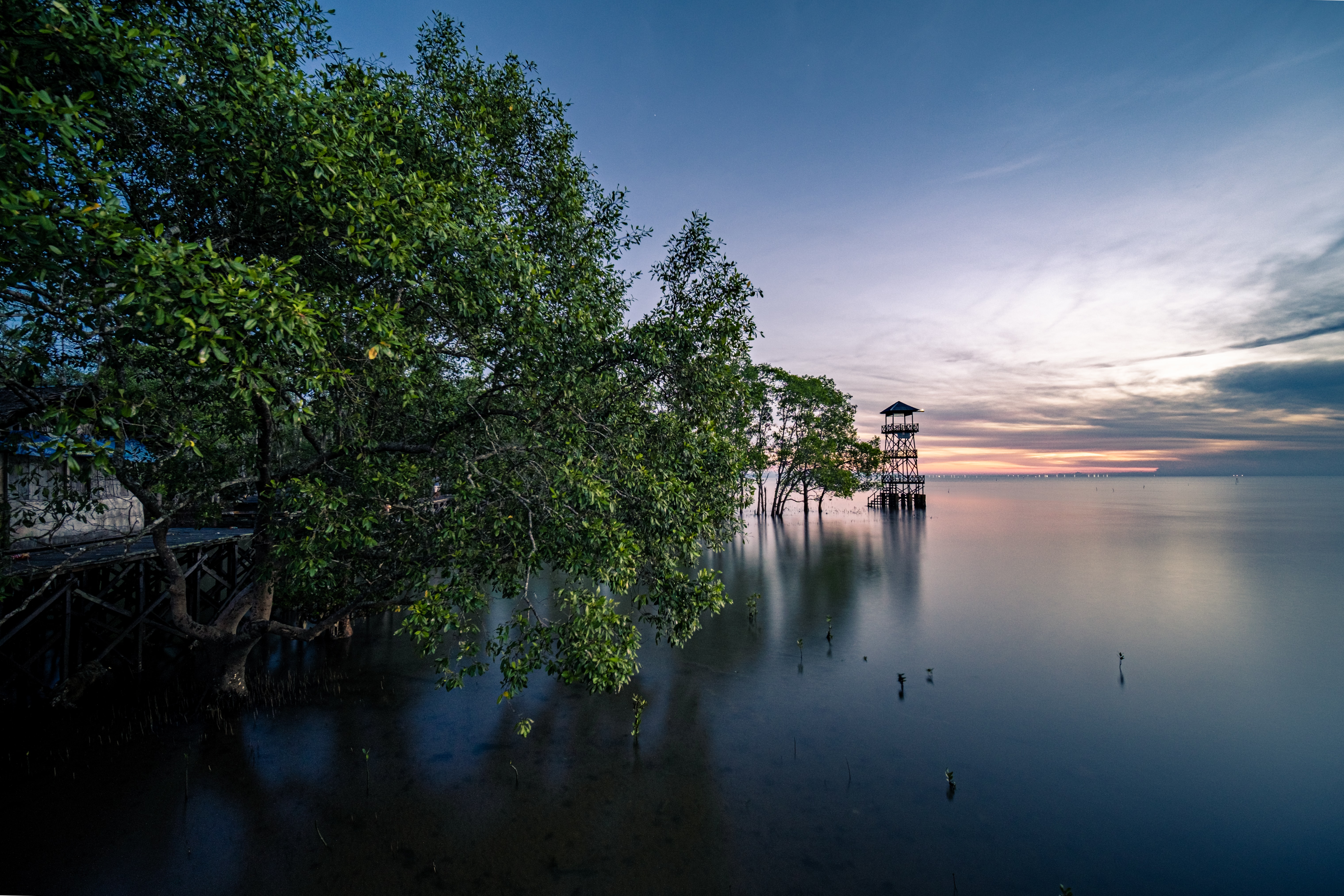 Photo by Eko Purwanto on Unsplash