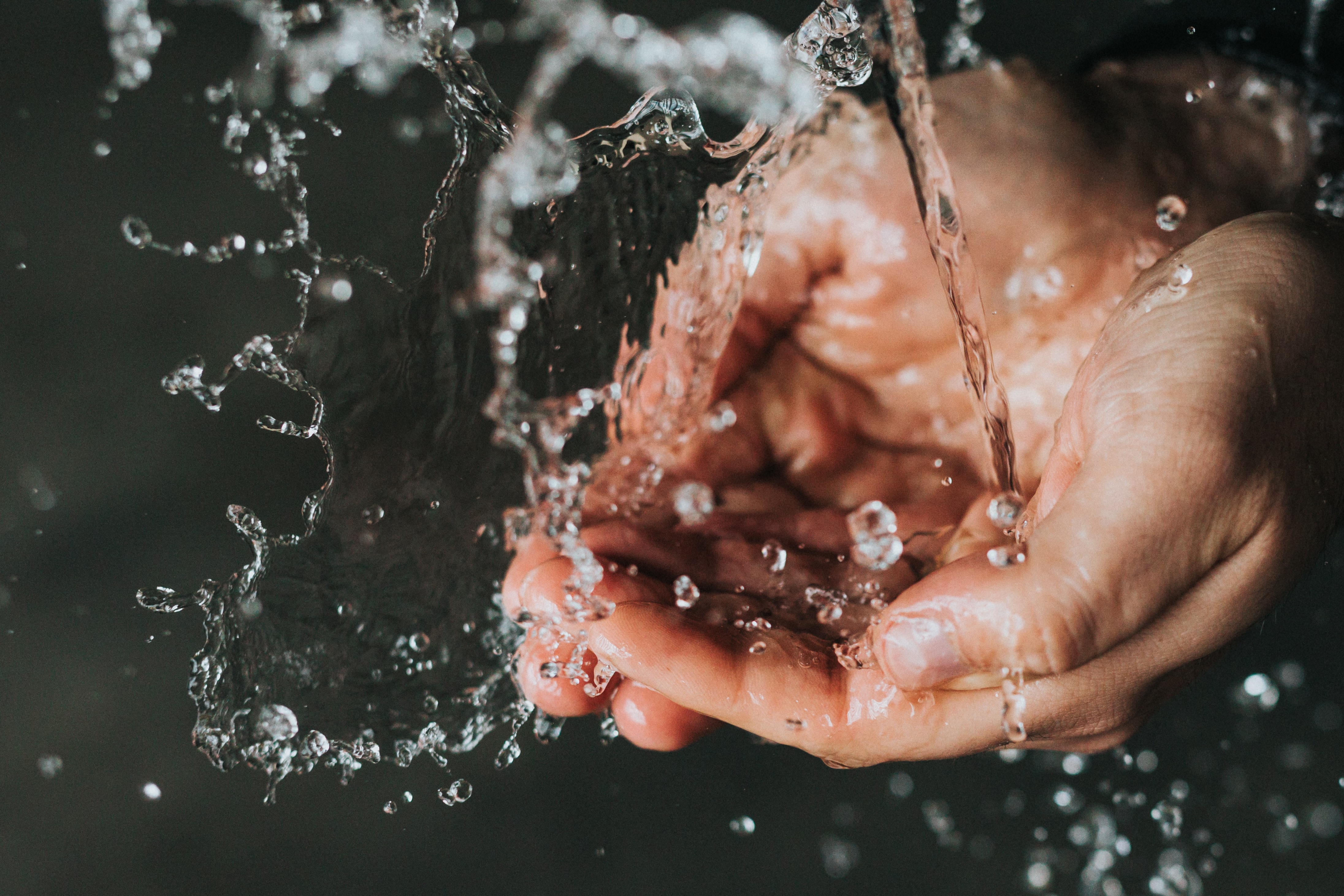 Photo by Nathan Dumlao on Unsplash