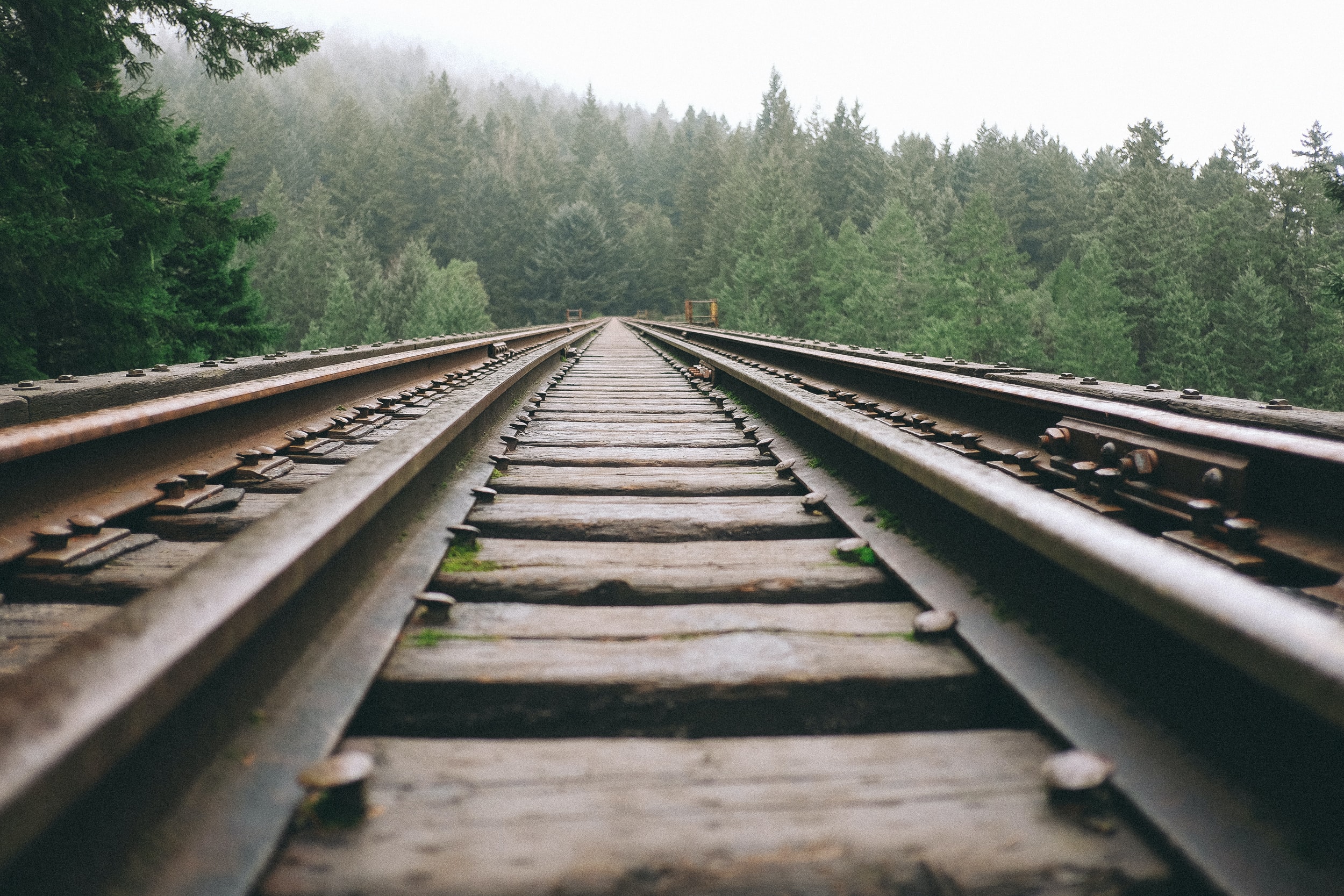 Photo by Paul Jarvis on Unsplash