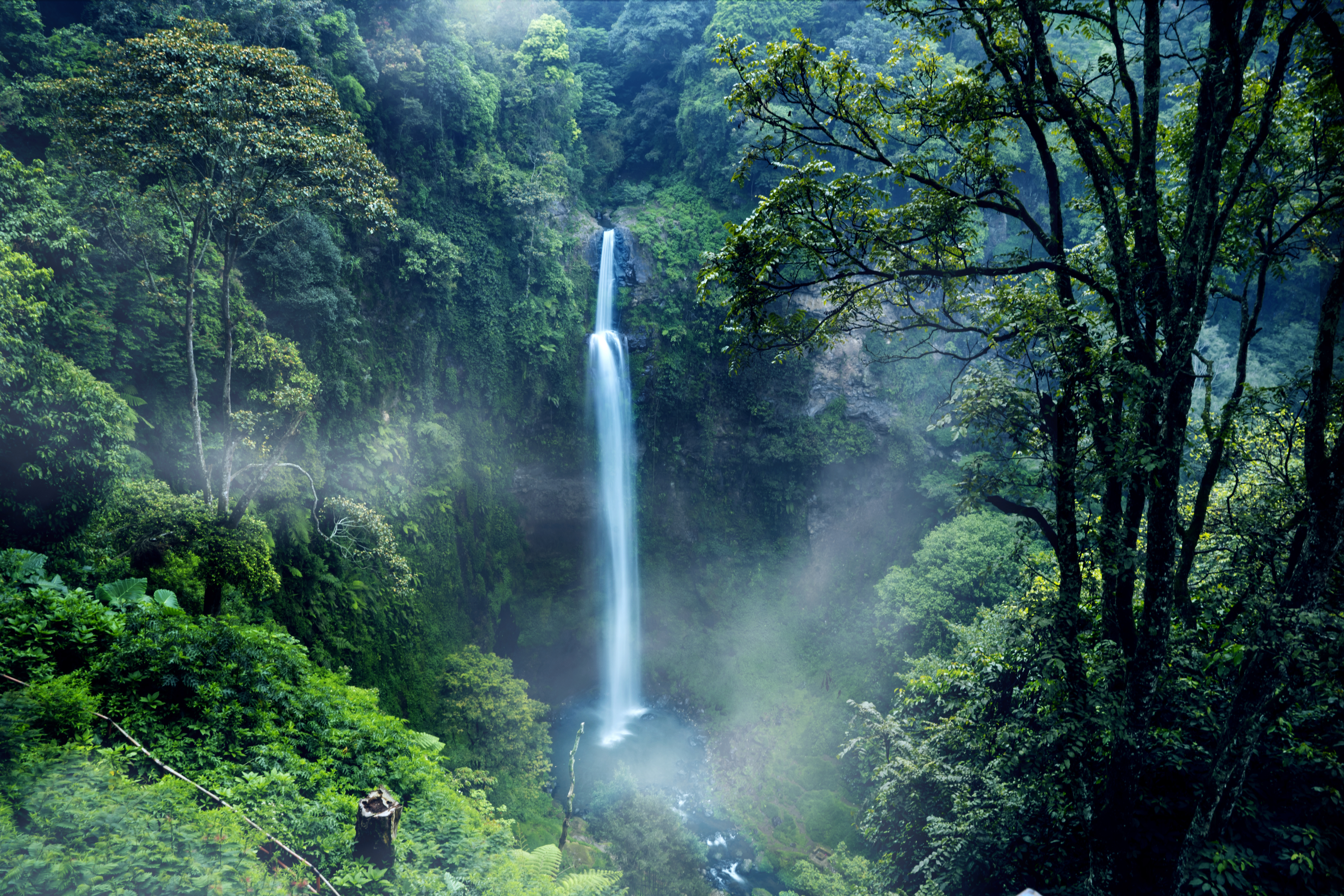 Photo by Creativa Images on Adobe Stock