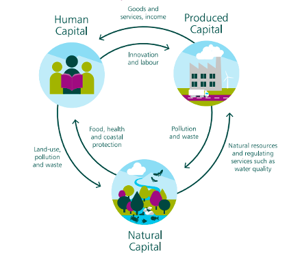 natural capital