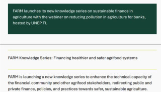 Newsletter- Second edition