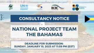 The Bahamas