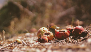 Photo by Joshua Hoehne on Unsplash