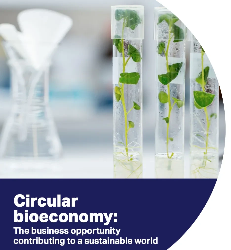 circular bioeconomy wbcsd