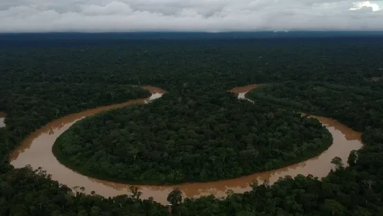 aerial_view_of_the_vale_do_javari_in_the_amazon_-_bruno_kelly_-_amazonia_real_2018-1000.jpg