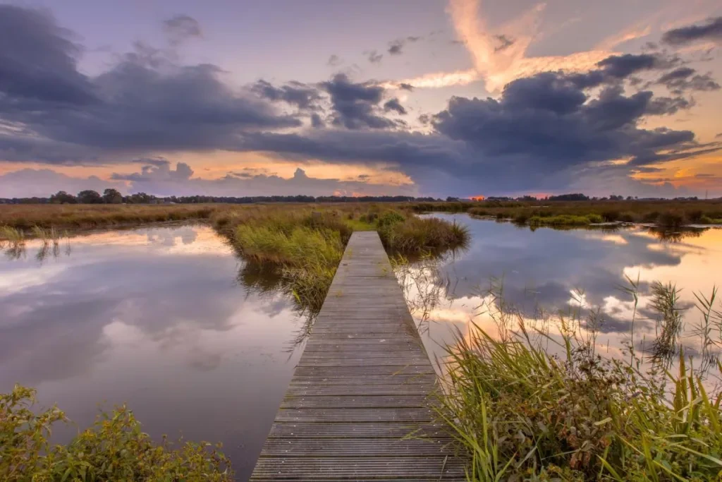 boardwalk-wetland-sunset_0.jpg