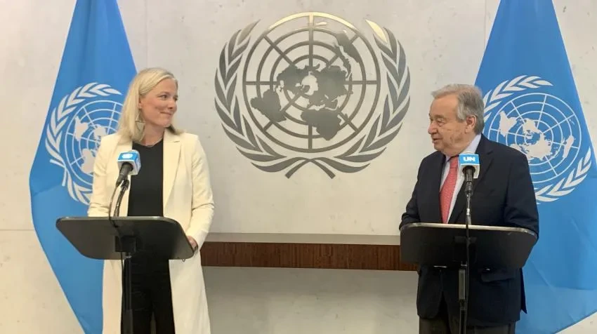 UN Expert Group Net-Zero