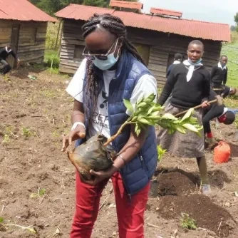 Wanjiku out for tree planting, unwrapping an orange seedling.